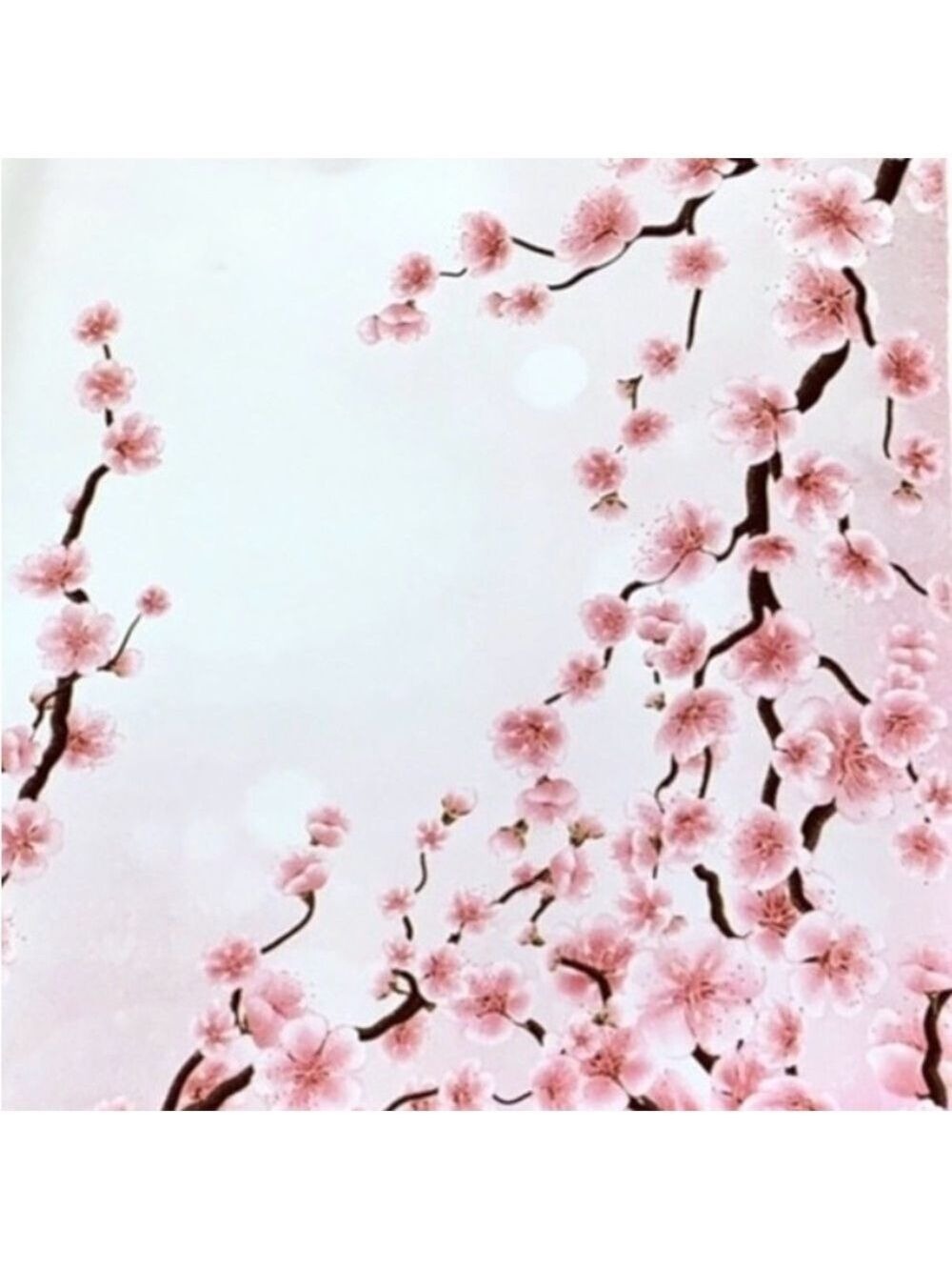 25 10x13 Poly Mailers Blossoms and Rose Variety Bundle Lavender, Cherry, - Picture 3 of 7